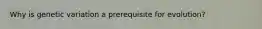 Why is genetic variation a prerequisite for evolution?