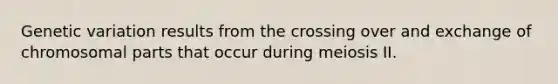 Genetic variation results from the crossing over and exchange of chromosomal parts that occur during meiosis II.