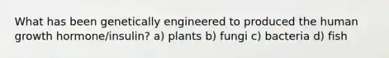 What has been genetically engineered to produced the human growth hormone/insulin? a) plants b) fungi c) bacteria d) fish