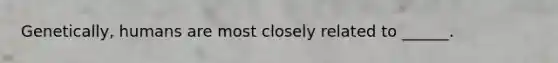Genetically, humans are most closely related to ______.