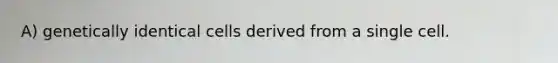 A) genetically identical cells derived from a single cell.