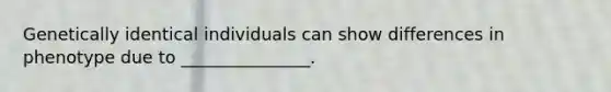 Genetically identical individuals can show differences in phenotype due to _______________.