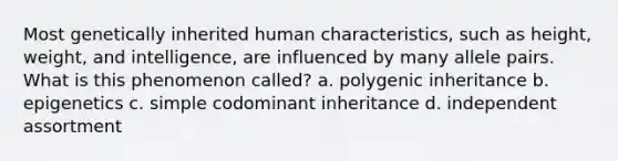 Most genetically inherited human characteristics, such as height, weight, and intelligence, are influenced by many allele pairs. What is this phenomenon called? a. polygenic inheritance b. epigenetics c. simple codominant inheritance d. independent assortment