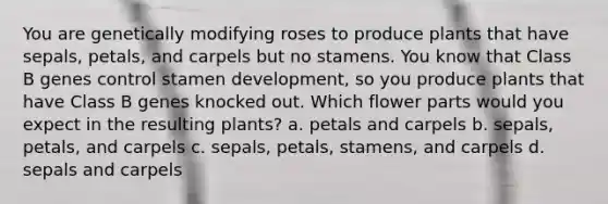 You are genetically modifying roses to produce plants that have sepals, petals, and carpels but no stamens. You know that Class B genes control stamen development, so you produce plants that have Class B genes knocked out. Which flower parts would you expect in the resulting plants? a. petals and carpels b. sepals, petals, and carpels c. sepals, petals, stamens, and carpels d. sepals and carpels