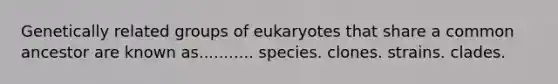 Genetically related groups of eukaryotes that share a common ancestor are known as........... species. clones. strains. clades.