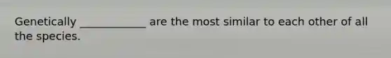 Genetically ____________ are the most similar to each other of all the species.