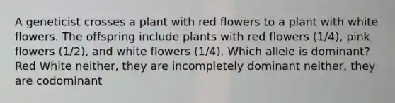 A geneticist crosses a plant with red flowers to a plant with white flowers. The offspring include plants with red flowers (1/4), pink flowers (1/2), and white flowers (1/4). Which allele is dominant? Red White neither, they are incompletely dominant neither, they are codominant