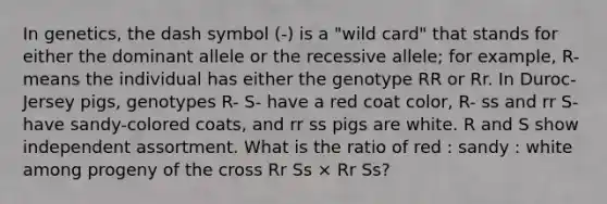 In genetics, the dash symbol (-) is a "wild card" that stands for either the dominant allele or the recessive allele; for example, R- means the individual has either the genotype RR or Rr. In Duroc-Jersey pigs, genotypes R- S- have a red coat color, R- ss and rr S- have sandy-colored coats, and rr ss pigs are white. R and S show independent assortment. What is the ratio of red : sandy : white among progeny of the cross Rr Ss × Rr Ss?