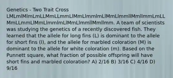 Genetics - Two Trait Cross LMLmlMlmLmLLMmLLmmLlMmLlmmlmLlMmLlmmllMmllmmLmLLMmLLmmLlMmLlmmlmLlMmLlmmllMmllmm. A team of scientists was studying the genetics of a recently discovered fish. They learned that the allele for long fins (L) is dominant to the allele for short fins (l), and the allele for marbled coloration (M) is dominant to the allele for white coloration (m). Based on the Punnett square, what fraction of possible offspring will have short fins and marbled coloration? A) 2/16 B) 3/16 C) 4/16 D) 9/16