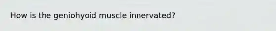 How is the geniohyoid muscle innervated?