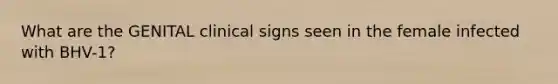 What are the GENITAL clinical signs seen in the female infected with BHV-1?