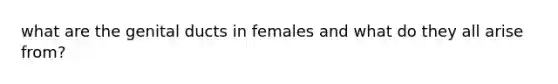 what are the genital ducts in females and what do they all arise from?