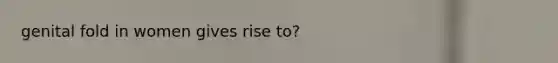 genital fold in women gives rise to?