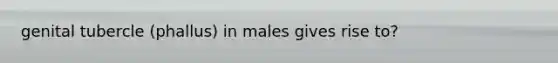 genital tubercle (phallus) in males gives rise to?