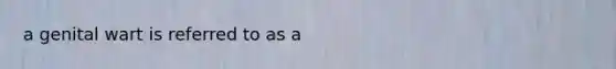 a genital wart is referred to as a