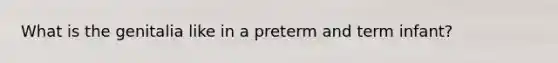 What is the genitalia like in a preterm and term infant?