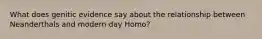 What does genitic evidence say about the relationship between Neanderthals and modern day Homo?