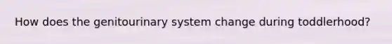 How does the genitourinary system change during toddlerhood?