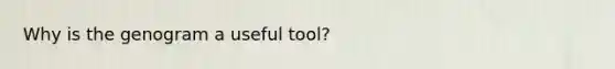Why is the genogram a useful tool?