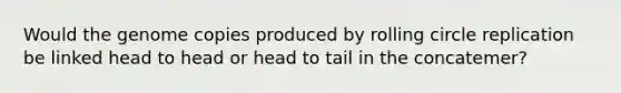 Would the genome copies produced by rolling circle replication be linked head to head or head to tail in the concatemer?