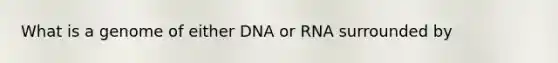 What is a genome of either DNA or RNA surrounded by