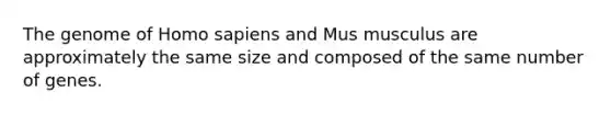 The genome of Homo sapiens and Mus musculus are approximately the same size and composed of the same number of genes.