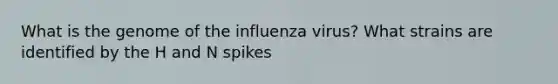 What is the genome of the influenza virus? What strains are identified by the H and N spikes