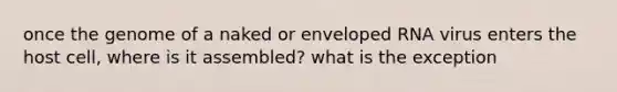 once the genome of a naked or enveloped RNA virus enters the host cell, where is it assembled? what is the exception