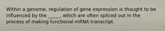 Within a genome, regulation of <a href='https://www.questionai.com/knowledge/kFtiqWOIJT-gene-expression' class='anchor-knowledge'>gene expression</a> is thought to be influenced by the _____, which are often spliced out in the process of making functional mRNA transcript.