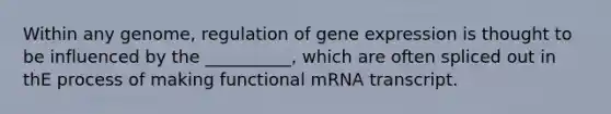 Within any genome, regulation of gene expression is thought to be influenced by the __________, which are often spliced out in thE process of making functional mRNA transcript.