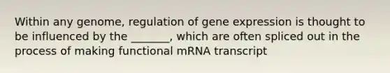 Within any genome, regulation of gene expression is thought to be influenced by the _______, which are often spliced out in the process of making functional mRNA transcript