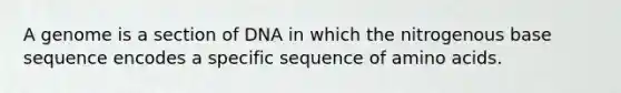 A genome is a section of DNA in which the nitrogenous base sequence encodes a specific sequence of amino acids.