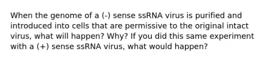 When the genome of a (-) sense ssRNA virus is purified and introduced into cells that are permissive to the original intact virus, what will happen? Why? If you did this same experiment with a (+) sense ssRNA virus, what would happen?