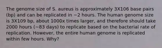 The genome size of S. aureus is approximately 3X106 base pairs (bp) and can be replicated in ~2 hours. The human genome size is 3X109 bp, about 1000x times larger, and therefore should take 2000 hours (~83 days) to replicate based on the bacterial rate of replication. However, the entire human genome is replicated within few hours. Why?