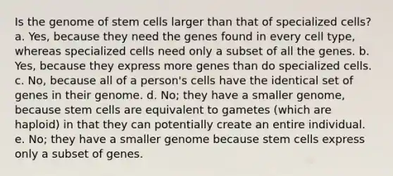 Is the genome of stem cells larger than that of specialized cells? a. Yes, because they need the genes found in every cell type, whereas specialized cells need only a subset of all the genes. b. Yes, because they express more genes than do specialized cells. c. No, because all of a person's cells have the identical set of genes in their genome. d. No; they have a smaller genome, because stem cells are equivalent to gametes (which are haploid) in that they can potentially create an entire individual. e. No; they have a smaller genome because stem cells express only a subset of genes.