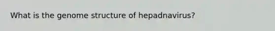 What is the genome structure of hepadnavirus?