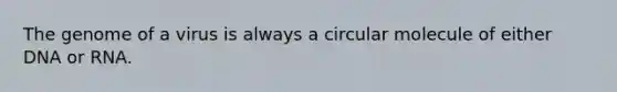 The genome of a virus is always a circular molecule of either DNA or RNA.