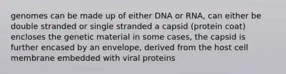 genomes can be made up of either DNA or RNA, can either be double stranded or single stranded a capsid (protein coat) encloses the genetic material in some cases, the capsid is further encased by an envelope, derived from the host cell membrane embedded with viral proteins