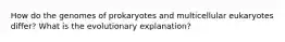 How do the genomes of prokaryotes and multicellular eukaryotes differ? What is the evolutionary explanation?