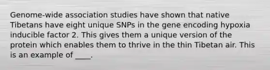 Genome-wide association studies have shown that native Tibetans have eight unique SNPs in the gene encoding hypoxia inducible factor 2. This gives them a unique version of the protein which enables them to thrive in the thin Tibetan air. This is an example of ____.