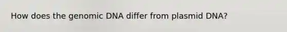 How does the genomic DNA differ from plasmid DNA?