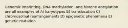 Genomic imprinting, DNA methylation, and histone acetylation are all examples of A) karyotypes B) translocation C) chromosomal rearrangements D) epigenetic phenomena E) genetic mutation