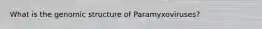 What is the genomic structure of Paramyxoviruses?