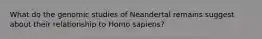 What do the genomic studies of Neandertal remains suggest about their relationship to Homo sapiens?