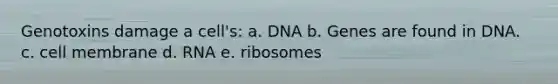 Genotoxins damage a cell's: a. DNA b. Genes are found in DNA. c. cell membrane d. RNA e. ribosomes