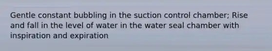 Gentle constant bubbling in the suction control chamber; Rise and fall in the level of water in the water seal chamber with inspiration and expiration