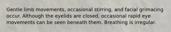 Gentle limb movements, occasional stirring, and facial grimacing occur. Although the eyelids are closed, occasional rapid eye movements can be seen beneath them. Breathing is irregular.