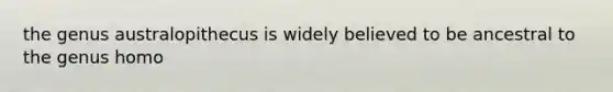 the genus australopithecus is widely believed to be ancestral to the genus homo