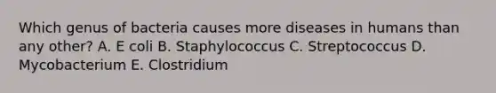 Which genus of bacteria causes more diseases in humans than any other? A. E coli B. Staphylococcus C. Streptococcus D. Mycobacterium E. Clostridium