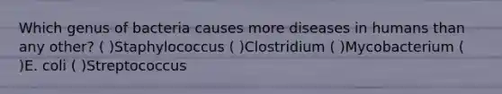 Which genus of bacteria causes more diseases in humans than any other? ( )Staphylococcus ( )Clostridium ( )Mycobacterium ( )E. coli ( )Streptococcus